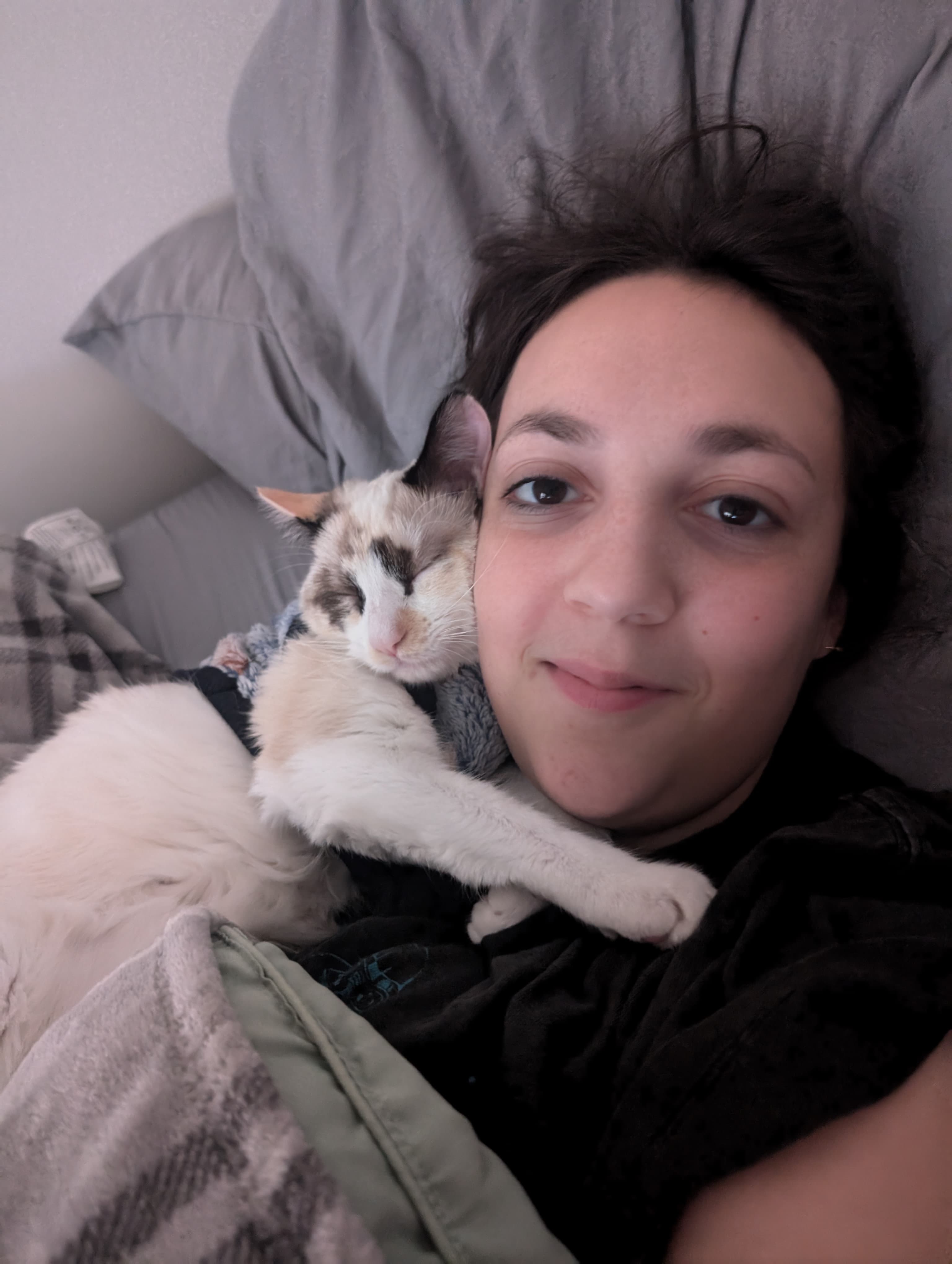 Cat photo